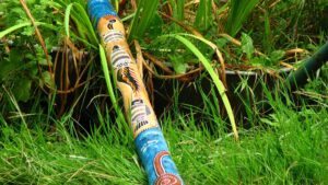 didgeridoo
