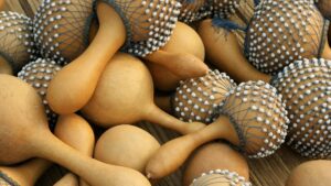 instruments africain