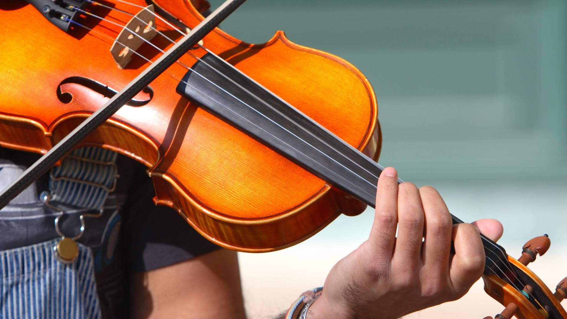 Violon