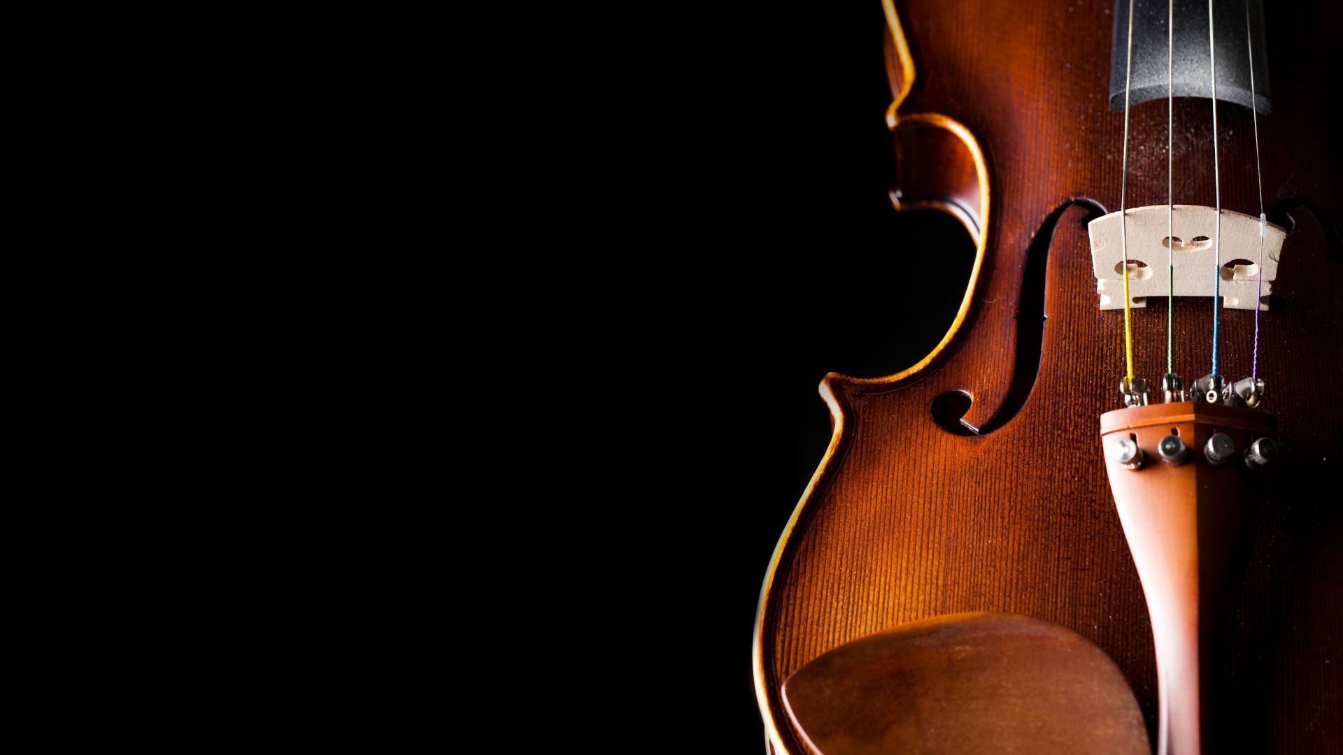 Violon